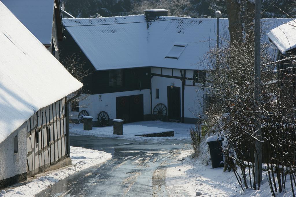 Eifelhoeve In Benenberg เฮลเลนธาล ห้อง รูปภาพ